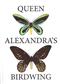 Queen Alexandra's Birdwing Butterfly Ornithoptera alexandrae (Rothschild, 1907): a review and conservation proposals