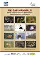 UK BAP Mammals: Interim Guidance for Survey Methodologies, Impact Assessment and Mitigation