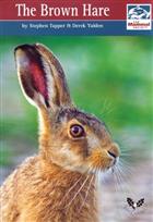 The Brown Hare