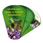 Identification guide to Ireland's Bumblebees