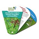 Identification guide to Ireland's Dragonflies and Damselflies