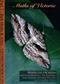 Moths of Victoria Pt 7: Geometroidea (D) (Geometridae - Ennominae) - Bark Moths and Allies
