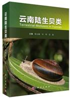 Terrestrial Molluscs in Yunnan 云南陆生贝类