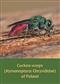 Cuckoo-wasps (Hymenoptera: Chrysididae) of Poland