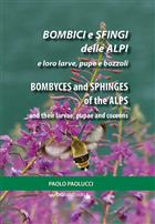 Bombyces and Sphinges of the Alps and their larvae, pupae and cocoons