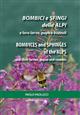 Bombyces and Sphinges of the Alps and their larvae, pupae and cocoons