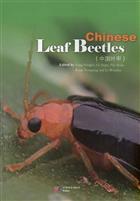 Chinese Leaf Beetles