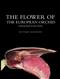 The Flower of the European Orchid: Form and Function