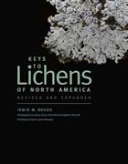 Keys to Lichens of North America