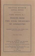 Insects from the Coal Measures of Commentry