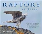 Raptors in Focus: A Quest to find Birds of Prey in Europe and beyond