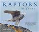 Raptors in Focus: A Quest to find Birds of Prey in Europe and beyond