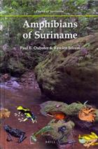 Amphibians of Suriname