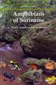 Amphibians of Suriname