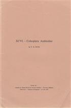 Coleoptera Anthicidae. Mission zoologique de l’I.R.S.A.C. en Afrique orientale (P. Basilewsky et N. Leleup, 1957). XCVI