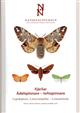 Lepidoptera: Lasiocampidae-Lymantriidae: Fjarilar: Adelspinnare-tofsspinnare