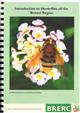 Introduction to Hoverflies of the Bristol Region