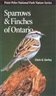 Sparrows & Finches of Ontario
