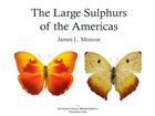 Large Sulphurs of the Americas: Anteos, Prestonia, Phoebis, Rhabdodryas, & Aphrissa