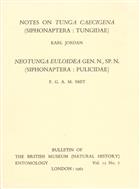 Notes on Tunga caecigena (Siphonaptera: Tungidae) / Neotunga euloidea gen. n., sp. n. (Siphonaptera: Pulicidae)