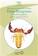 Illustrated key to the British False Scorpions (Pseudoscorpions)