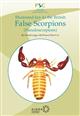 Illustrated key to the British False Scorpions (Pseudoscorpions)