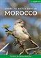 Where to Watch Birds in Morocco