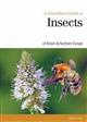 A Naturalist's Guide to the Insects of Britain and Northern Ireland