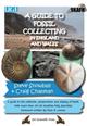 A Guide to Fossil Collecting in England and Wales: A Guide to the Collection Preservation and Display of Fossils