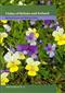 Violas of Britain and Ireland