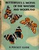 Butterflies and Moths of the Wayside and Woodland