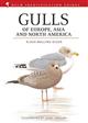 Gulls of Europe, Asia and North America