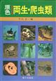 Amphibians and Reptiles in Colour