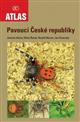 Pavouci České republiky [Spiders of the Czech Republic]