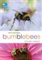 RSPB Spotlight Bumblebees