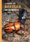 A Guide to Beetles of Borneo