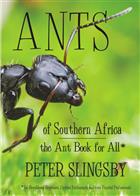 Ants of Southern Africa: The Ant Book for All