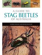 A guide to Stag Beetles of Australia