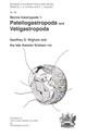 Marine Gastropods 1: Patellogastropoda and Vetigastropoda (Synopses of the British Fauna 60)