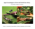 Jago's Grasshoppers of East and North East Africa Vol. 1: Pneumoridae, Pyrgomorphidae, Lentulidae, Pamphagidae and Dericorythidae
