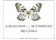 A Selection of the Butterflies of Sri Lanka