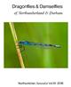 Dragonflies & Damselfies of Northumberland & Durham