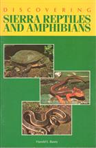 Discovering Sierra Reptiles and Amphibians