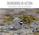 Shorebirds in Action: An Introduction to Waders and their Behaviour