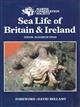 Sea Life of Britain and Ireland