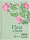 Flora d'Italia Vol. 4