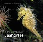 In the Company of Seahorses