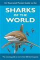 An Illustrated Pocket Guide to the Sharks of the World