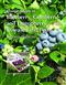 Compendium of Blueberry Cranberry and Lingonberry Diseases and Pests