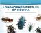 Photographic Guide to Longhorned Beetles of Bolivia: Guia Fotografica de Escarabajos Longicornios de Bolivia